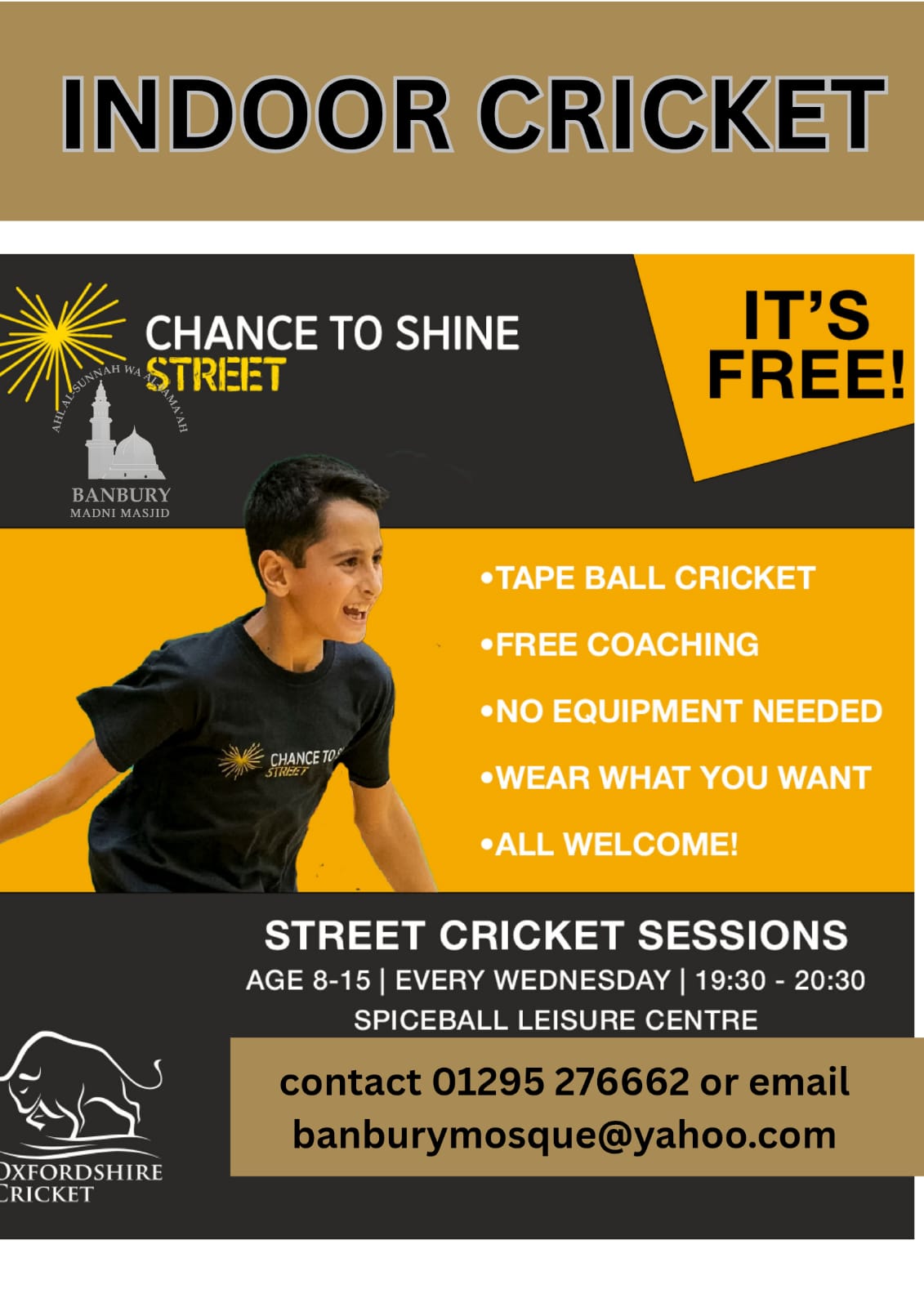 Indoor Cricket