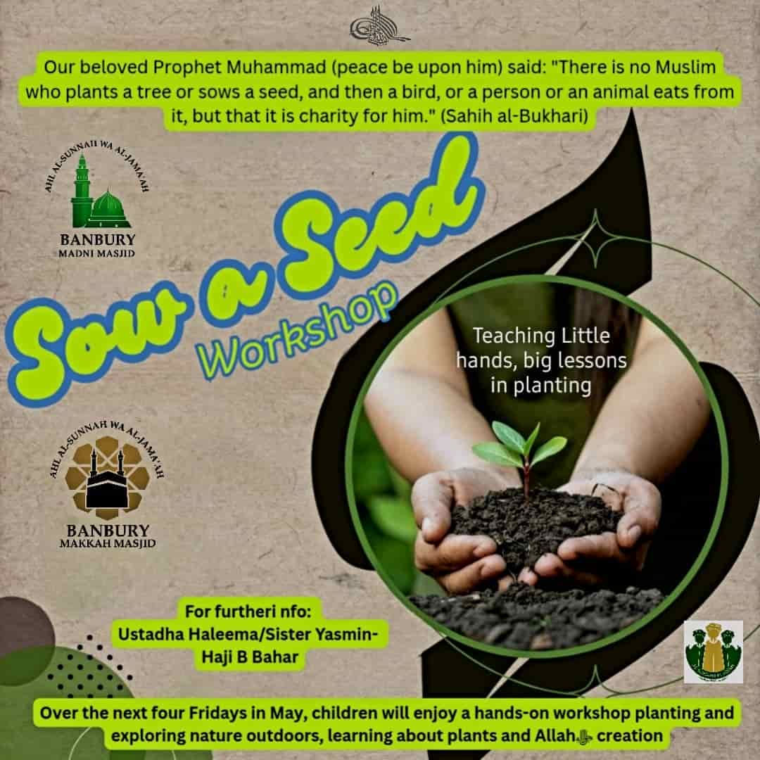 Sow a Seed Workshop