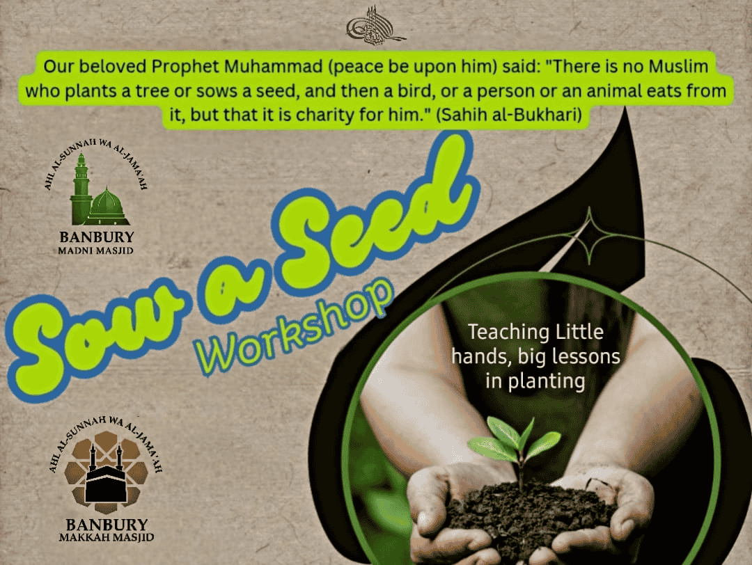 Sow a Seed Workshop